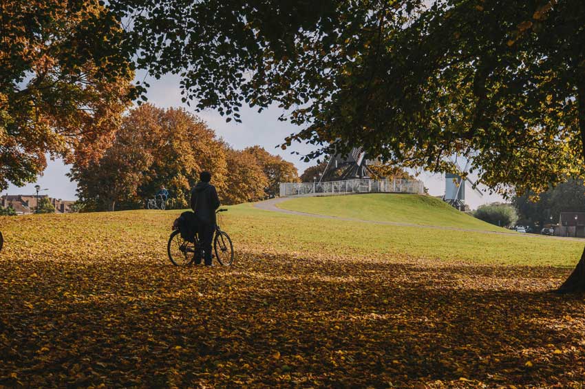 Herbstzeit-Wartungszeit